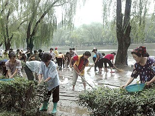 В КНДР стартовала общенациональная кампания по ликвидации последствий наводнений
