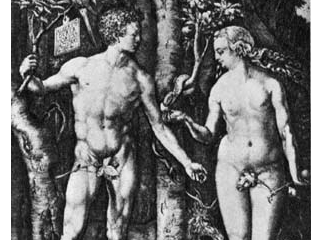 Аня Харлберт на основе проведенных исследований предполагает, что у библейской Евы, помимо общеизвестной, была еще одна причина сорвать плод с древа Познания добра и зла