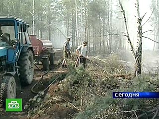 Центральную Россию охватили лесные и торфяные пожары: 40 очагов возгорания