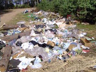 Берега озера Селигер в Тверской области, где в конце июля проходил съезд прокремлевской молодежи, оказались загажены грудами мусора