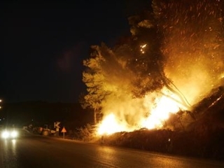 Греческие власти уверены, что многие из сотен очагов возгорания, возникших в стране, стали результатом специально спланированных поджогов