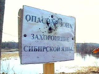 В Омской области охотники за цветным металлом разрыли кладбище, на котором долгие годы утилизировались животные, умершие от сибирской язвы