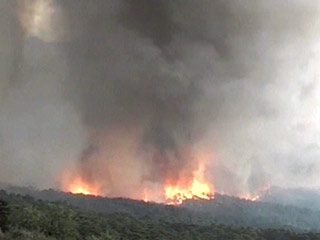 Пожар в Алупкинском лесничестве до сих пор не локализован