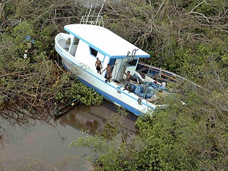 В Гондурасе 52 индейцам-рыбакам из народа мискито удалось живыми выбраться на берег после того, как волны, поднятые ураганом "Феликс", смыли их в океан