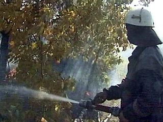 Более половины из 45 лесных пожаров в Туве потушены