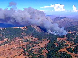 Сильные пожары, вспыхнувшие в национальном парке Сан-Бернардино на юге американского штата Калифорнии, уничтожили 18 тысяч акров леса, пять тысяч человек эвакуированы