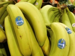 Банановая компания Chiquita подверглась самому большому в истории США штрафу за нарушение антитеррористического законодательства - в течение многих лет она сотрудничала с наркотеррористическими группами Колумбии