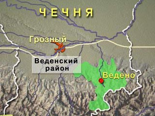 В лесу между населенными пунктами Тазен-Кала и Жани-Ведено Веденского района Чечни произошло боестолкновение военнослужащих с боевиками