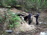 О незаконной рубке лесных насаждений стражи порядка узнали от местного жителя, который случайно наткнулся на незаконную делянку, гуляя по лесу