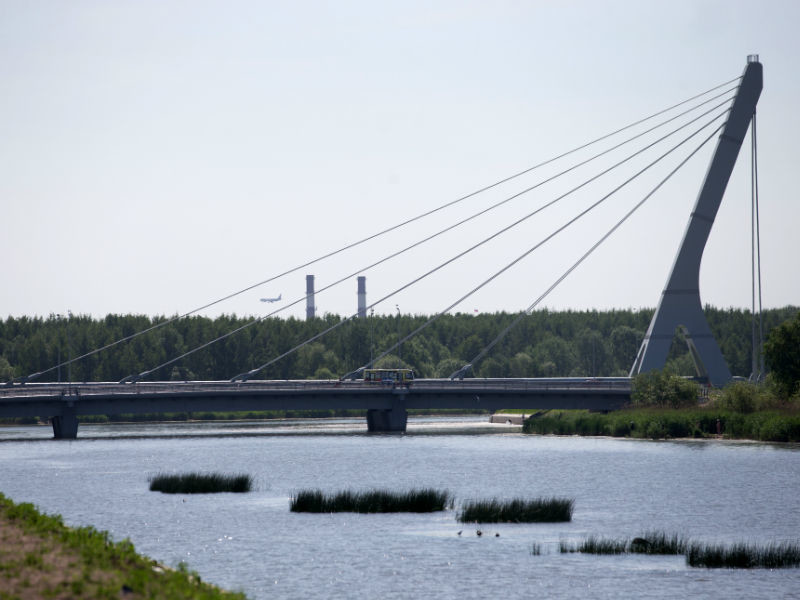 Петицию против моста Кадырова подписали уже более 70 тысяч человек
