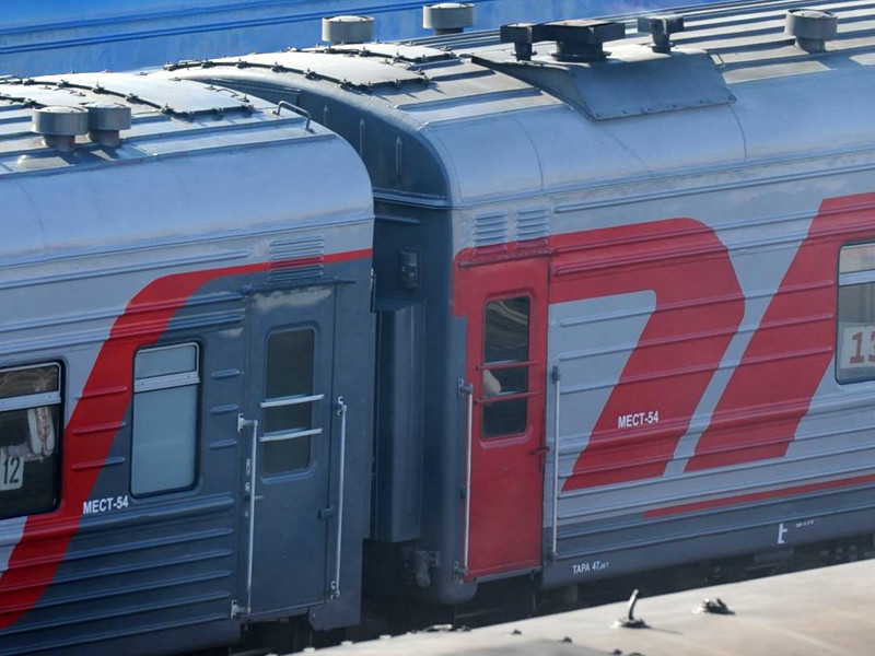 Пассажир поезда Москва - Орск выстрелил в лицо обидчику