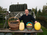 Эксперты пророчат огородный бум: россияне, видя цены на продукты, закупаются семенами