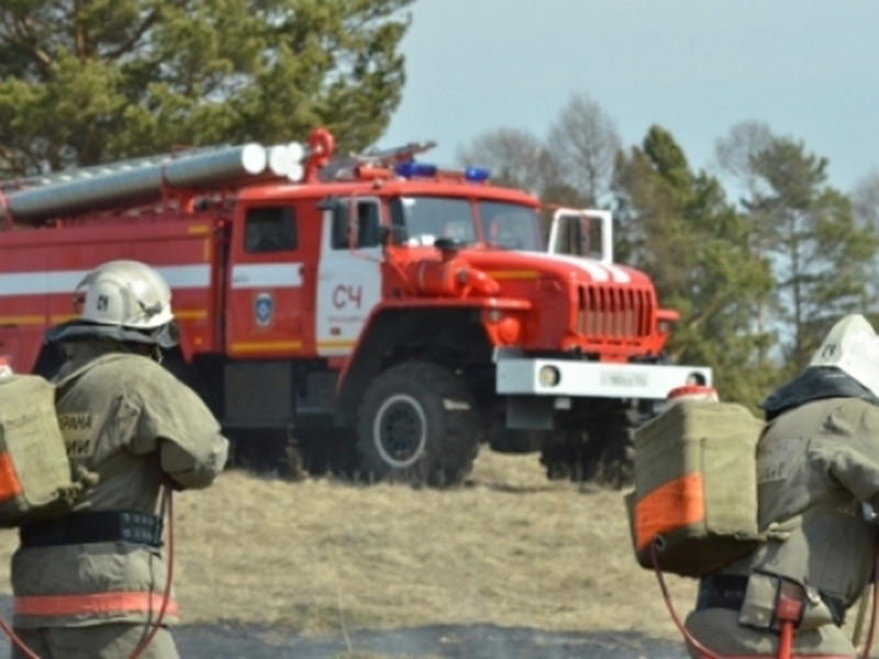 В Красноярском крае идут поиски двух сотрудников лесоохраной службы: они считаются пропавшими при тушении пожаров в Кежемском районе. Ранее из-за пожаров в районе была объявлена ЧС