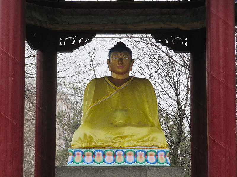 Осквернившего статую Будды дагестанского спортсмена приговорили к двум годам условно
