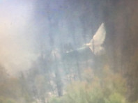 Самолет найден в 4 км южнее населенного пункта Рыбный Уян