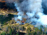Всемирный банк решил предоставить России заем для совместного финансирования проекта по реформированию лесоуправления и борьбе с лесными пожарами
