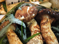 Шведский исследователь не смог приехать на Сахалин за грибами - слишком дорогие билеты
