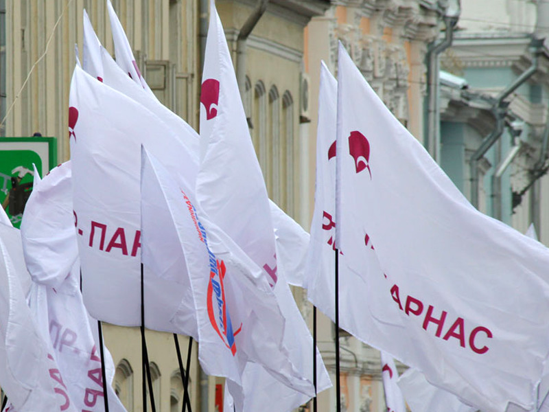 ПАРНАС отказался от агитации в Крыму, не получив разрешение Украины