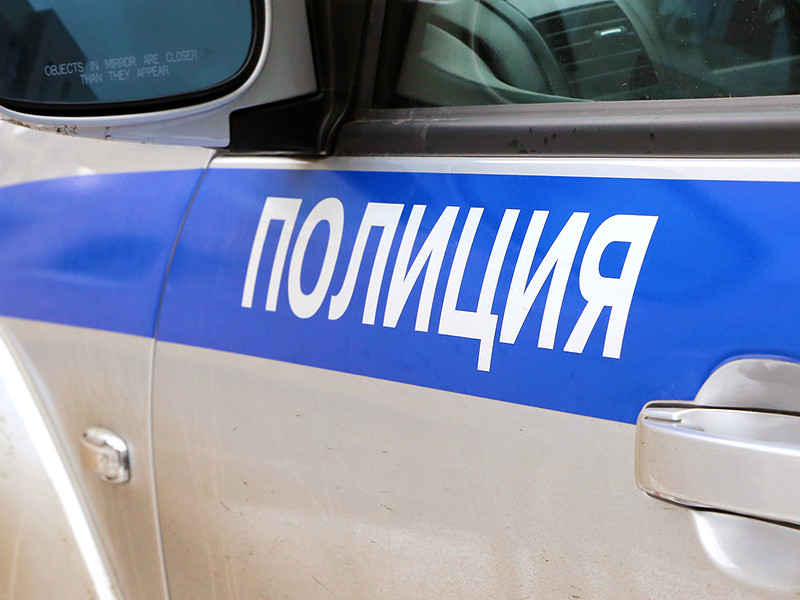 Полицейские в городе Ангарске выясняют обстоятельства жестокого убийства медвежонка, изувеченную тушу которого обнаружили местные жители на берегу реки Китой в городской черте
