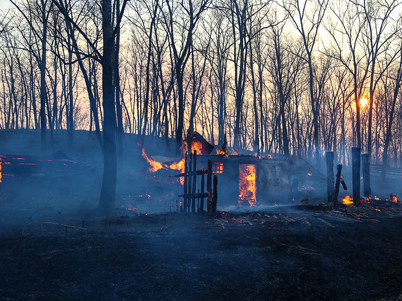 Лесные пожары в России только за первые шесть месяцев текущего года уничтожили почти миллион гектаров деловой древесины, в связи с чем бюджет недосчитался трех миллиардов рублей