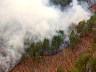 Согласно сообщению ведомства от 5 августа, за минувшие сутки ликвидировано 46 лесных пожаров на общей площади 22 665 га. За то же время огнем было пройдено 873 га, в том числе 589 га покрытой лесом площади