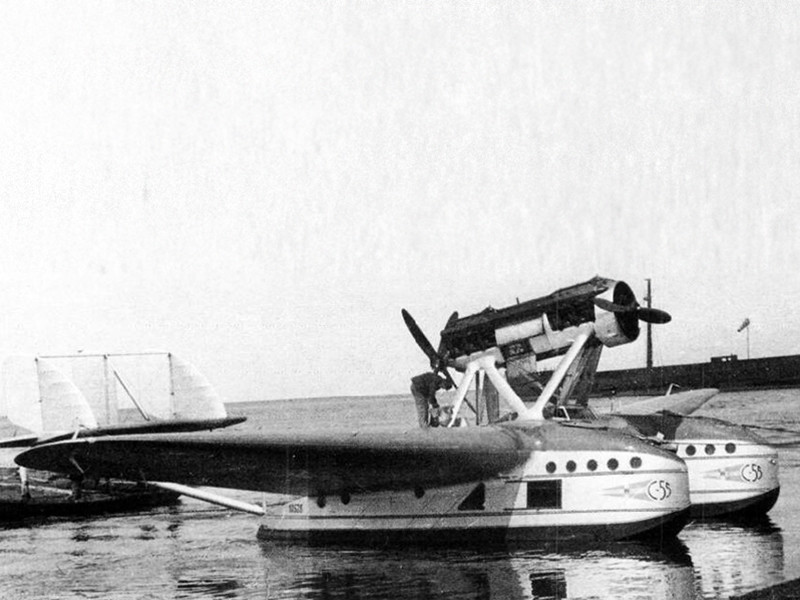 Поисковики обнаружили новые останки людей на месте крушения гидросамолета Savoia-Marchetti S.55 компании "Аэрофлот", потерпевшего катастрофу в 1935 году в Хабаровском крае