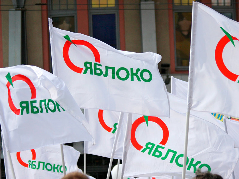 "Яблоко" сняло с выборов своего кандидата в Новосибирске из-за плагиата