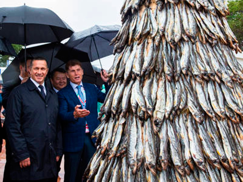 Жители Владивостока молниеносно разобрали гигантскую елку из корюшки, установленную на набережной острова Русский во время проведения II Восточного экономического форума (ВЭФ) и ставшую главной достопримечательностью "Рыбного рынка"
