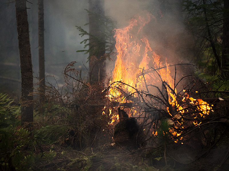 В Бурятии Заиграевский районный суд приговорил к 4,5 года колонии строгого режима местного жителя Дмитрия Устьянцева, который устроил три лесных пожара