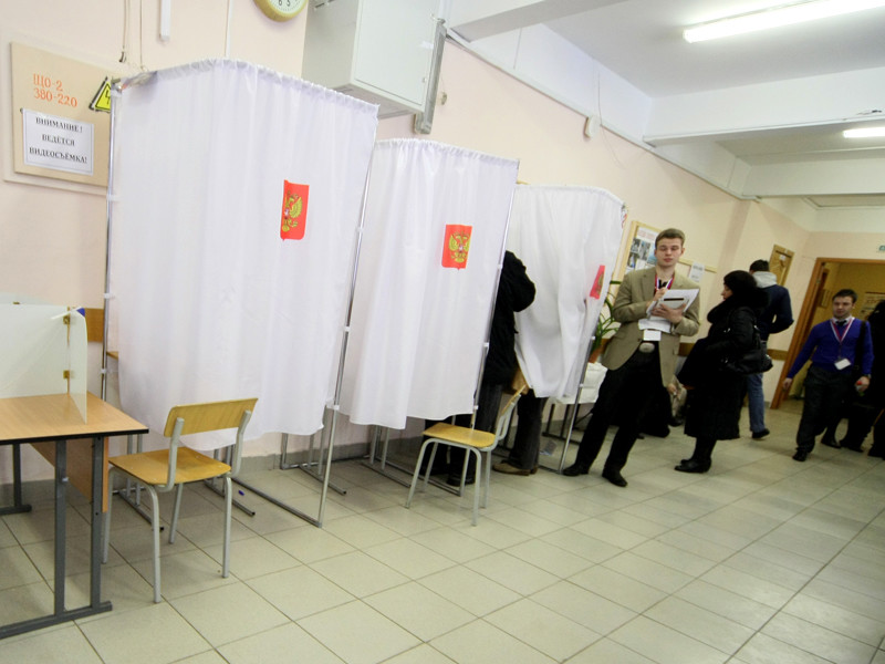 В Петербурге ветеринаров призвали проголосовать на выборах за "Единую Россию" и отчитаться с помощью селфи