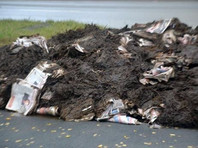 В Челябинске у дома кандидата от "Яблока" вывалили кучу навоза с пропавшими агитационными листовками