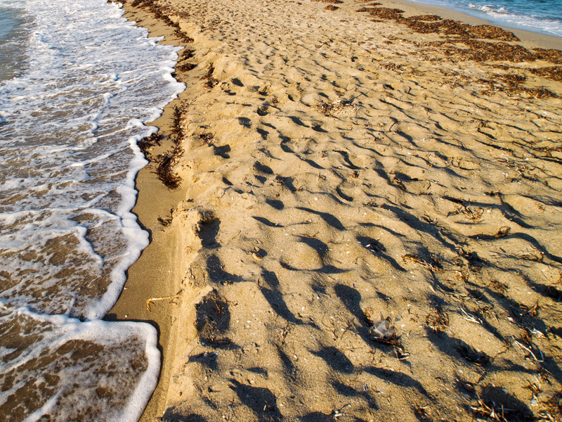 Ученые бьют тревогу: добыча песка уничтожает крымские пляжи