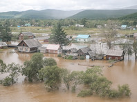 Причиной наводнения в регионе, последовавшего за ударом стихии, экологи назвали массовую вырубку защитных лесов