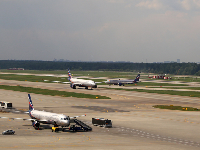 В московском аэропорту Шереметьево самолету Airbus A320, летевшему из Нижневартовска, пришлось при посадке заходить на второй круг из-за того, что на взлетно-посадочной полосе обнаружили мертвую лису