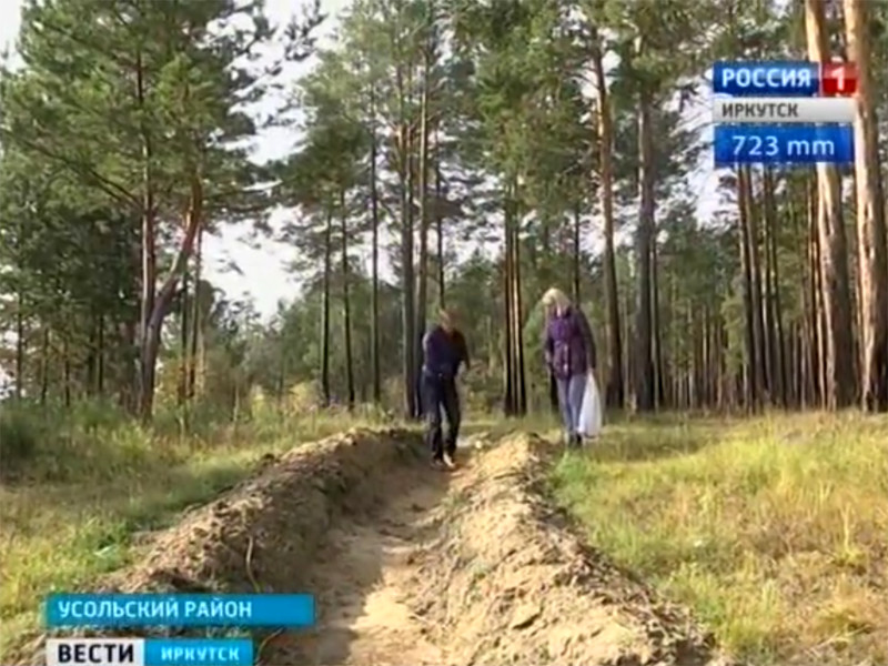 В Иркутской области сотрудники лесничества перерыли стоянку древнего человека