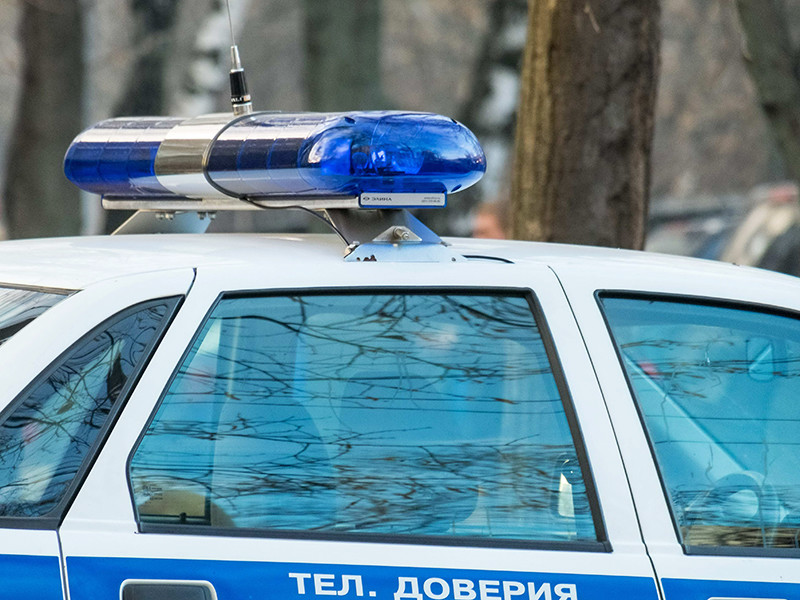 Полиция рано утром нагрянула к противникам строительства храма в московском парке "Торфянка"