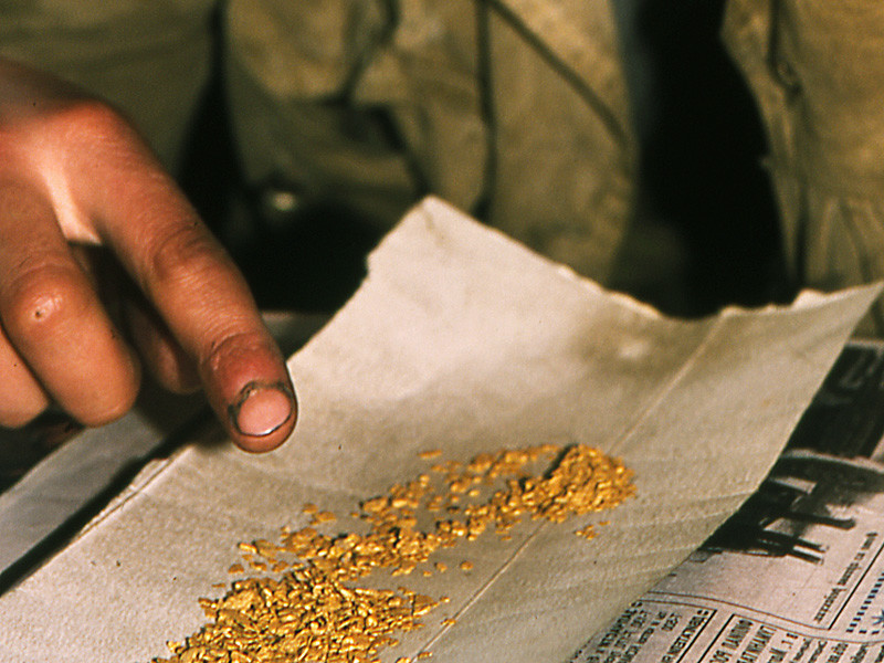 Житель Приамурья, нашедший в лесу банку с золотом, получил условный срок
