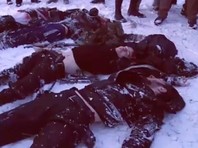 По сведениям сайта "Кавказский узел", всего за два дня были убиты семь боевиков, четверо задержаны, трое из них ранены, в том числе девушка, а также погибли