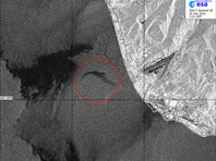 Радиолокационное изображение места крушения самолета Ту-154