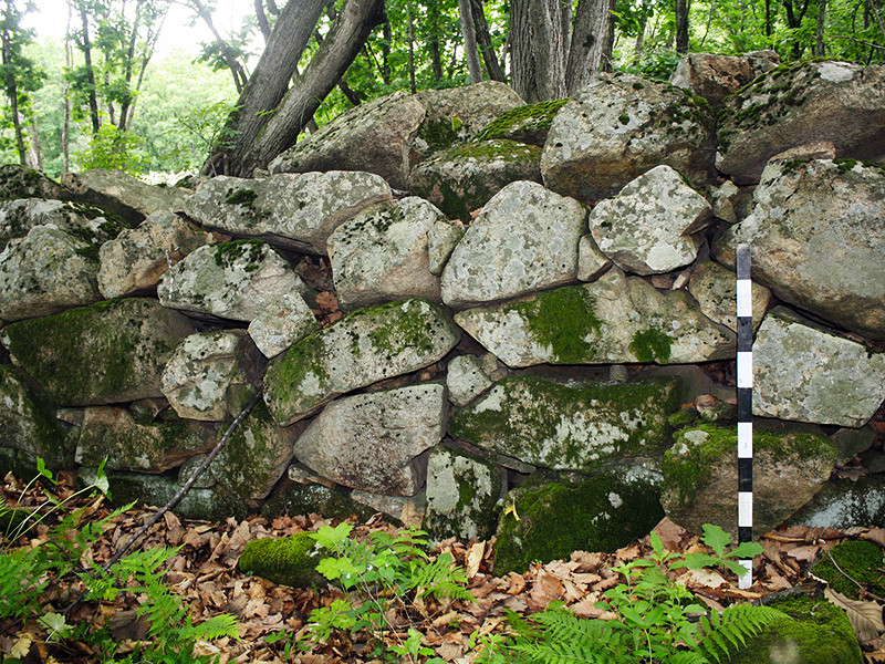 Горная крепость Шуйлюфэн, расположенная на территории национального парка "Земля леопарда", оказалась первым обнаруженным в Приморье древним корейским памятником периода XIV-XIX веков, сообщается на сайте нацпарка