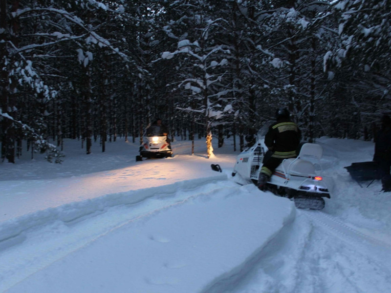 Сотрудники МЧС вывезли детей из леса на снегоходах, некоторые школьники были госпитализированы с переохлаждением и легкими обморожениями