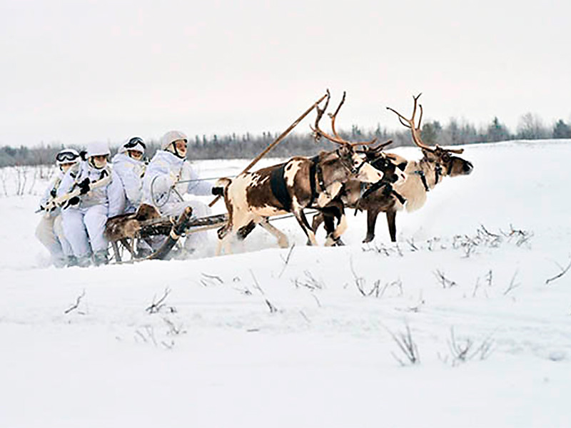 Российских арктических стрелков научили управлять оленьими и собачьими упряжками