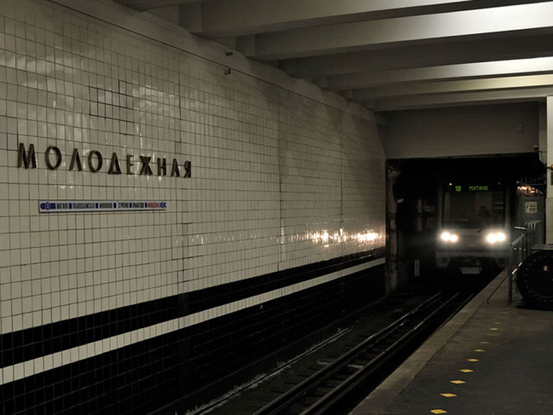 Женщина с 10-летней дочерью бросилась под поезд на станции метро "Молодежная" в Москве, в результате чего она и девочка получили тяжелые травмы