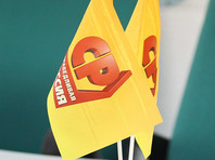 В партии "эсеров" Мизулина состояла с 2007 года, отмечается на официальном сайте сенатора