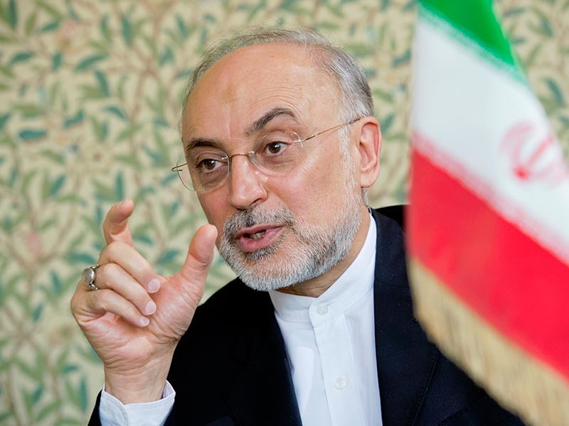 Россия и Иран договорились о совместном производстве ядерного топлива, заявил глава Иранской организации по атомной энергетике Али Акбар Салехи, комментируя визиты представителей в Москву