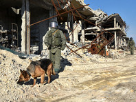 Саперы Международного противоминного центра ВС РФ осматривают разрушенные здания в Алеппо, 9 февраля 2017 года
