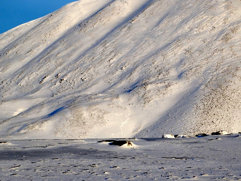 Инспекторы природно-этнического национального парка "Берингия" на Чукотке обнаружили многочисленные следы белых медведей, которые наведались в заброшенный поселок Аван, видимо, в поисках пропитания, и катались с горок, сообщается на сайте нацпарка