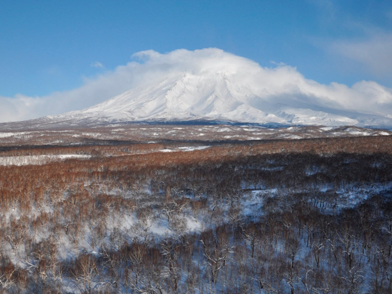 Камчатский вулкан Шивелуч выпустил столб пепла на высоту пять километров
