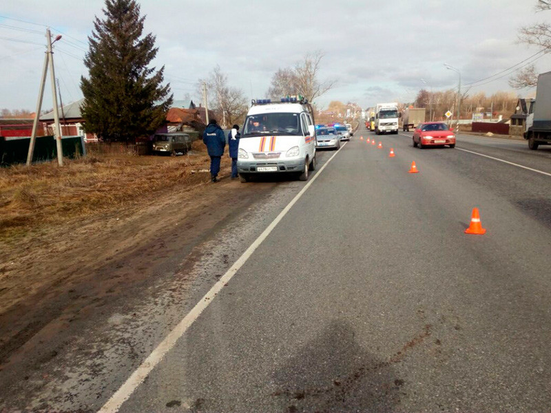 В Подмосковье в лобовом ДТП погибли трое детей: авария с участием грузовой "Газели" произошла на трассе М-5 в Луховицком районе области