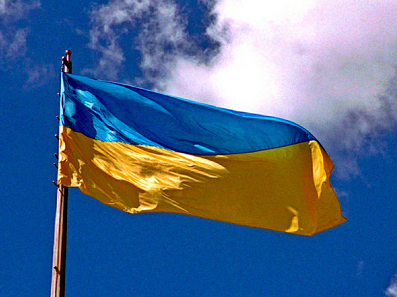 Аспирант МГУ рассказал об избиении силовиками за украинский флаг во время фестиваля в честь присоединения Крыма